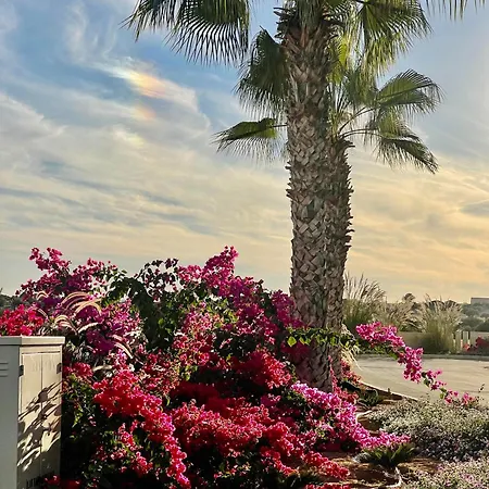 Sea Breeze By The Coast