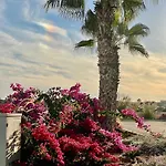 Sea Breeze By The Coast