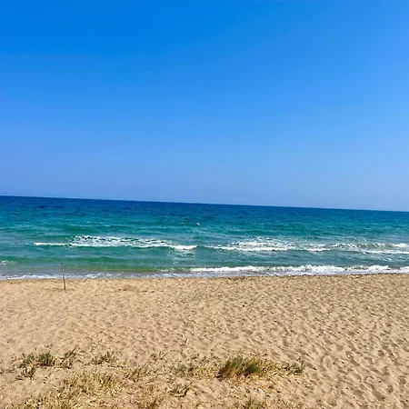 Sea Breeze By The Coast *