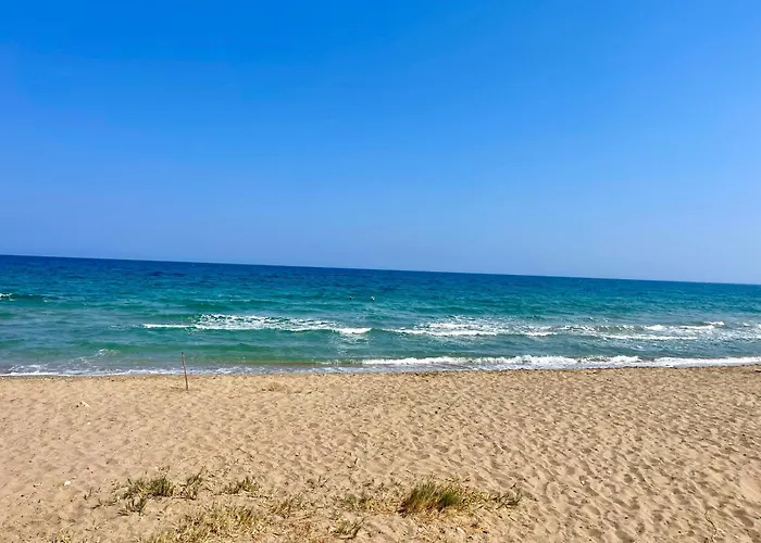 Sea Breeze By The Coast *