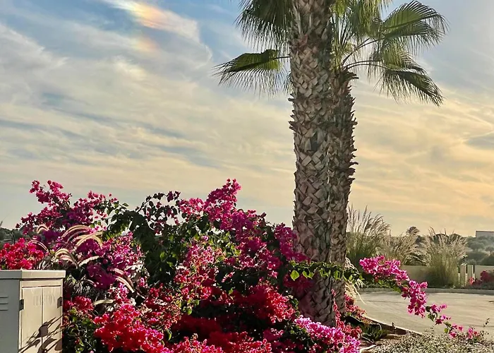 Sea Breeze By The Coast