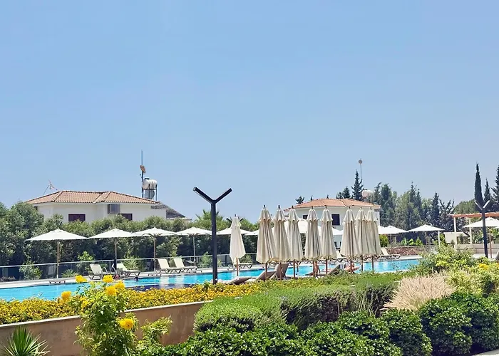 Sea Breeze By The Coast *